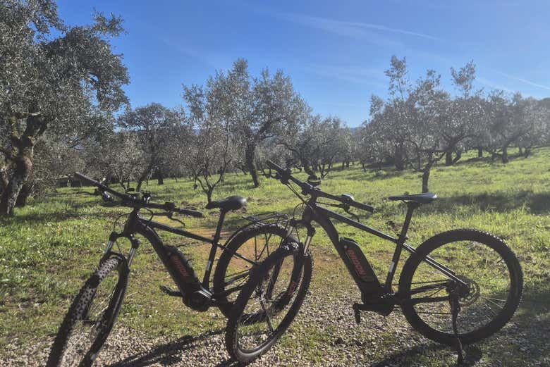 Discover the corners of Fátima