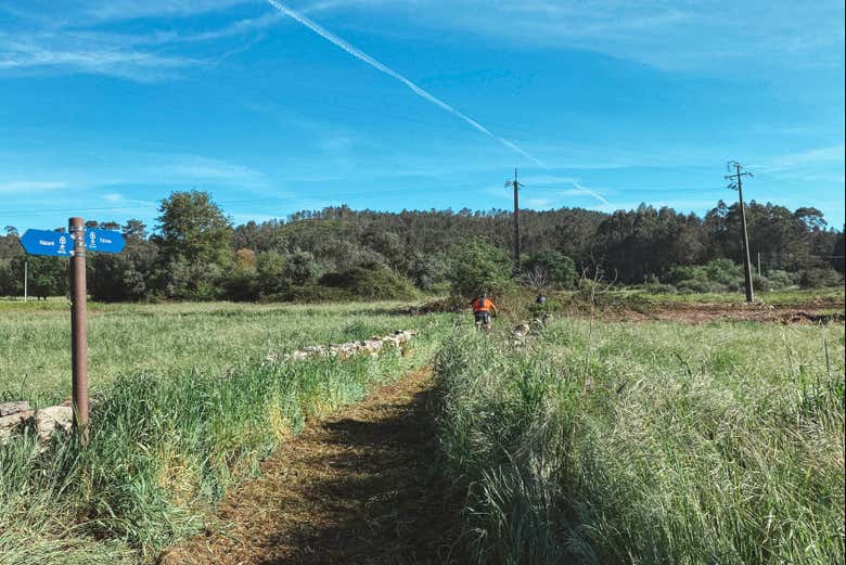 As áreas verdes de Fátima