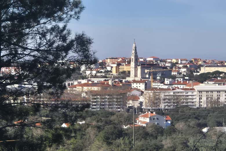 Take in the views of the city