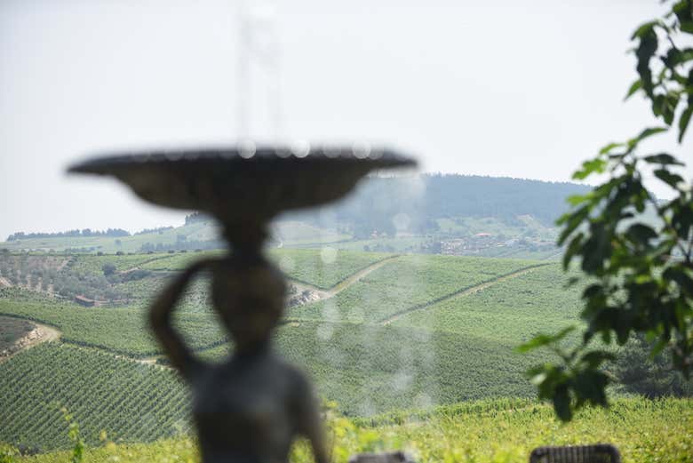 Fontes na Quinta da Avessada