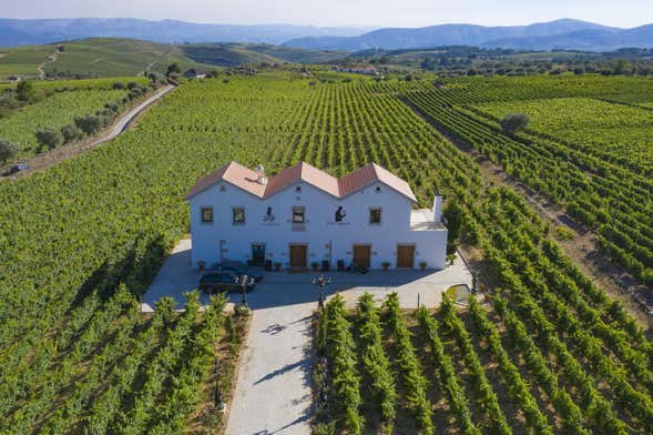 Visita à adega Quinta da Avessada