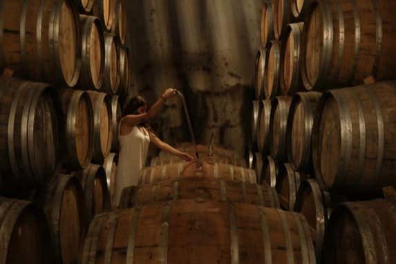 Barris de vinho