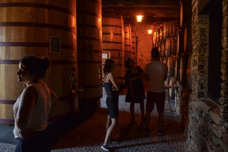 Visita guiada pela adega