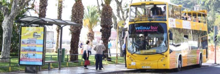 Visitas guiadas y free tours en Funchal