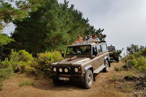 Avistamiento de cetáceos + Tour en 4x4