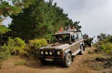 Avistamento de cetáceos + Tour de 4x4