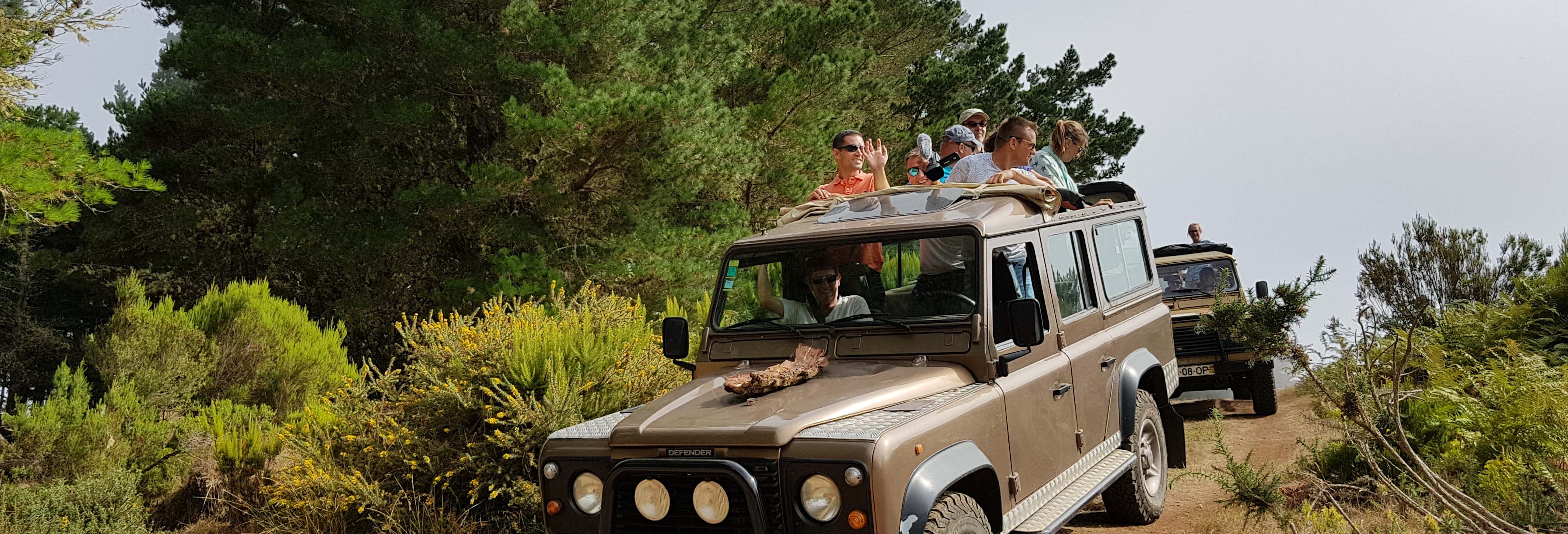 Avistamiento de animales en Funchal