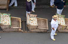 Madeira Basket Ride