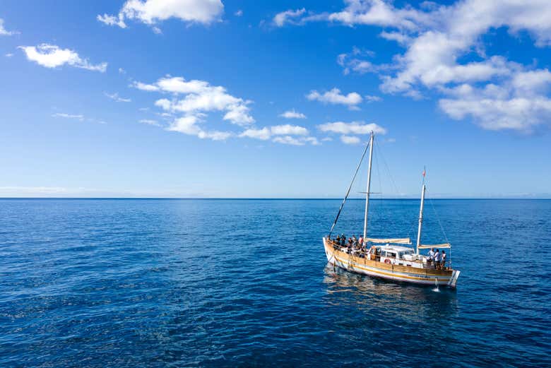 Navegando por la costa de Madeira