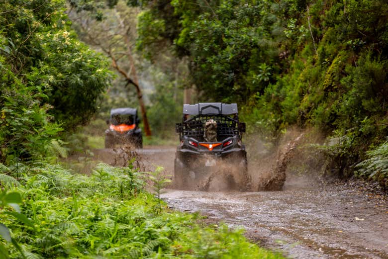 Atravesando senderos salvajes de Caniçal