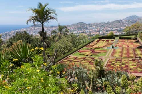 Jardín Botánico de Funchal