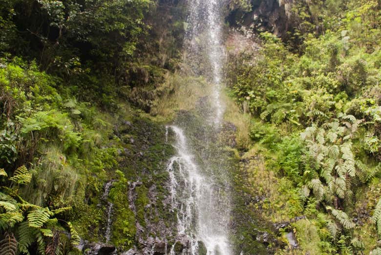 Paesaggi del parco forestale di Queimadas
