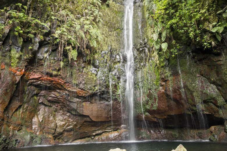 Naturaleza en Serra de Água