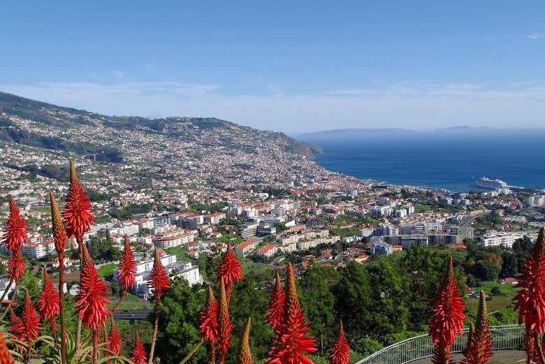 Disfrutaremos de los bellos paisajes de Madeira