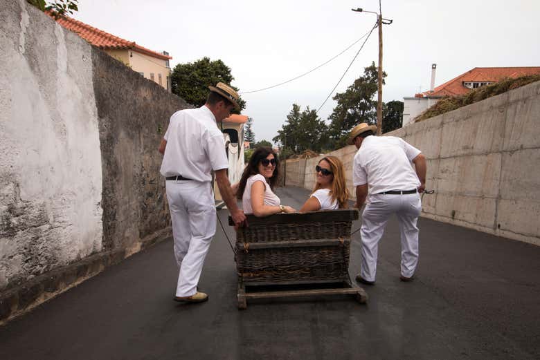 Disfrutando del paseo en carro cesta