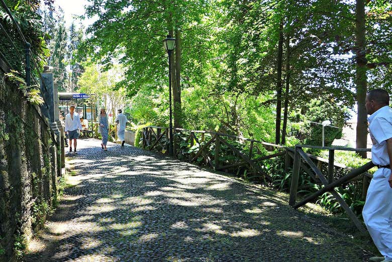 Paseando por Monte