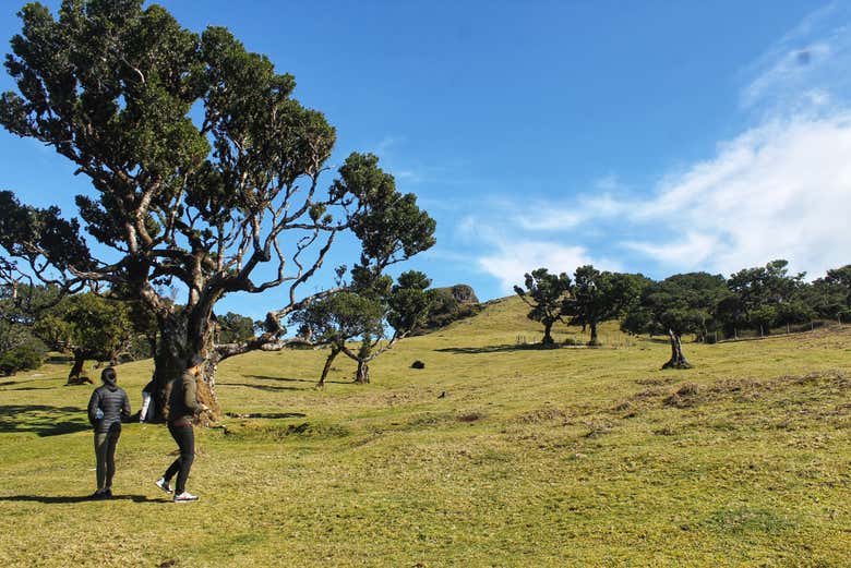 Un paesaggio incontaminato