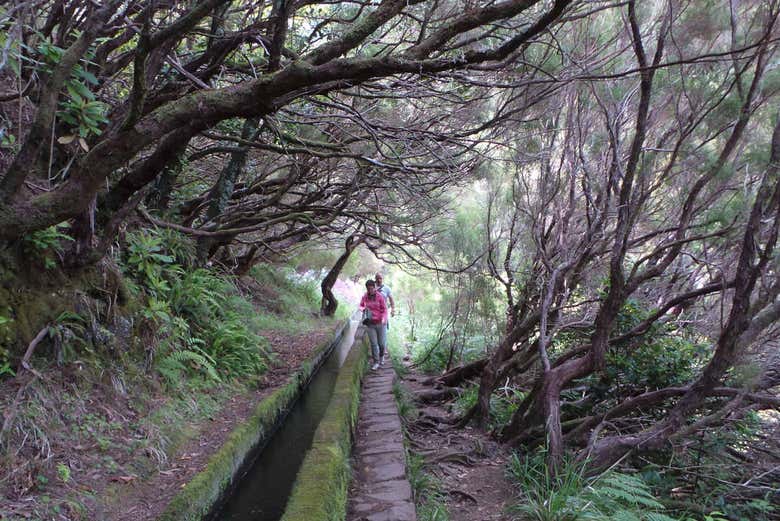 Disfrutando de la ruta de senderismo