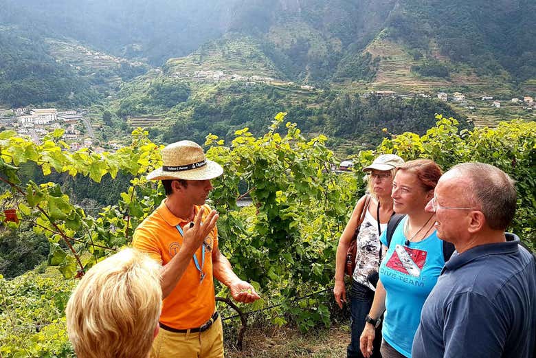 ¡Atentos a lo que dice el guía!