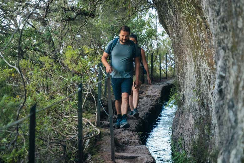 Sendero junto a un riachuelo
