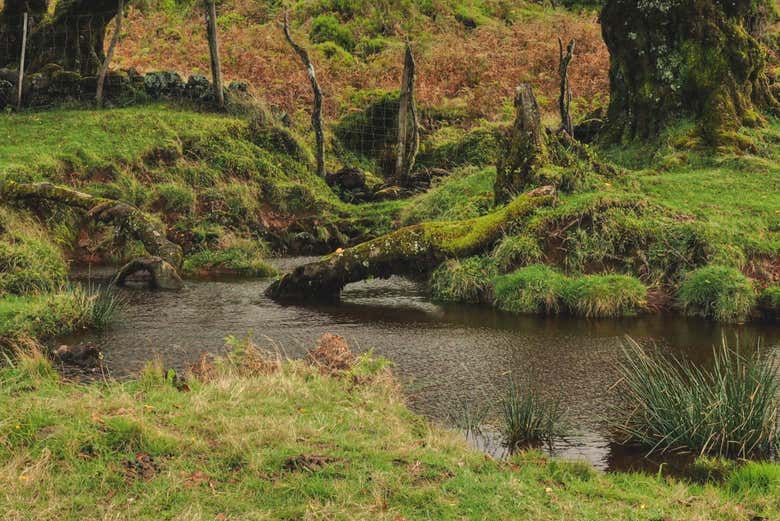 Uno dei laghi di Madeira