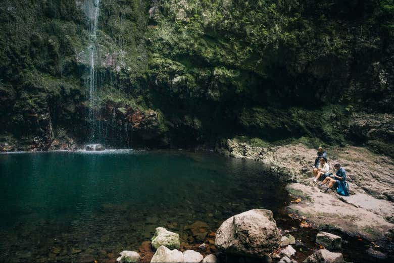 Naturaleza exuberante en Levada do Caldeirão Verde 