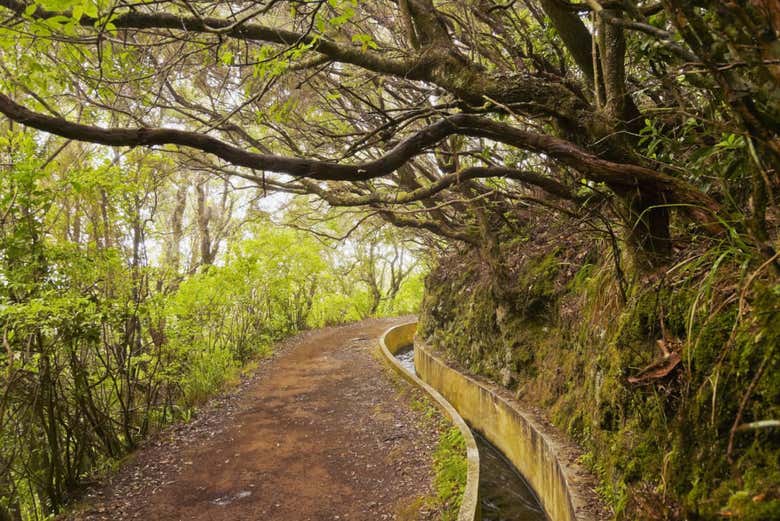 Aqueduc de la Serra do Faial