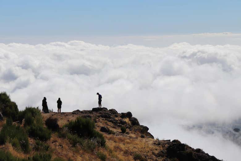 Madeira visto das alturas