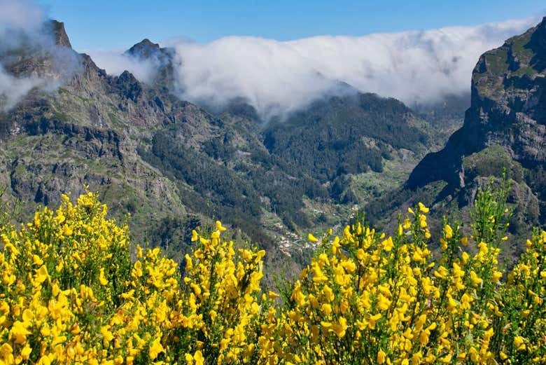 Paisagens do Vale das Freiras
