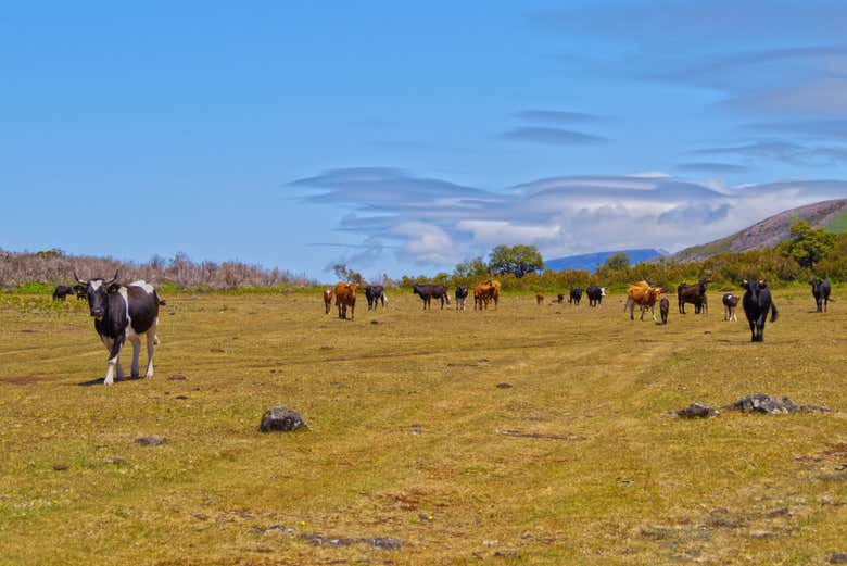 O planalto do Paul da Serra