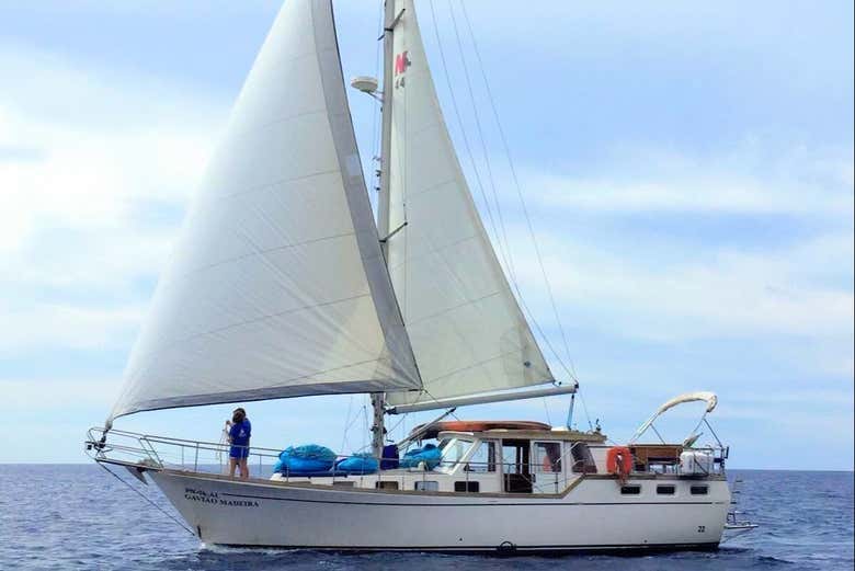 Profitez d'une promenade en bateau sur les eaux de Madère