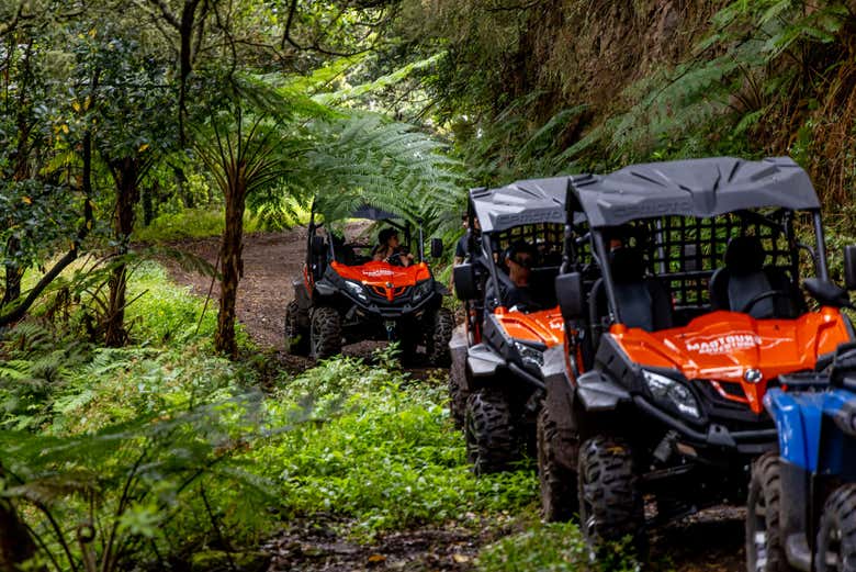 Adentrándonos en lo más salvaje de Caniçal