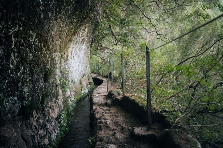 Sendero en Levada do Caldeirão Verde
