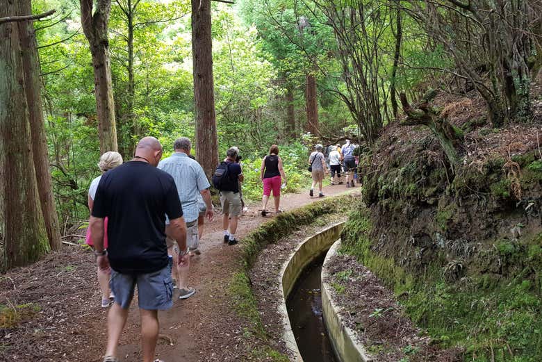 Descubriendo la naturaleza local