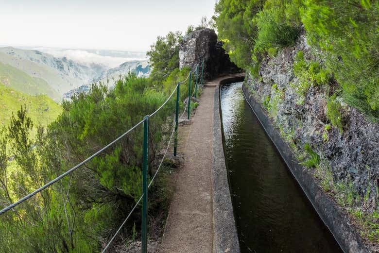 Levanta do Alecrim, Madeira