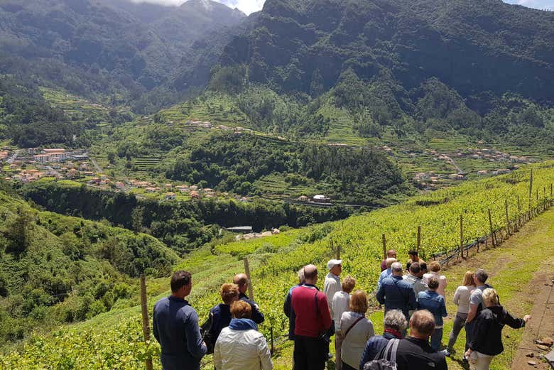 El grupo observando las vistas