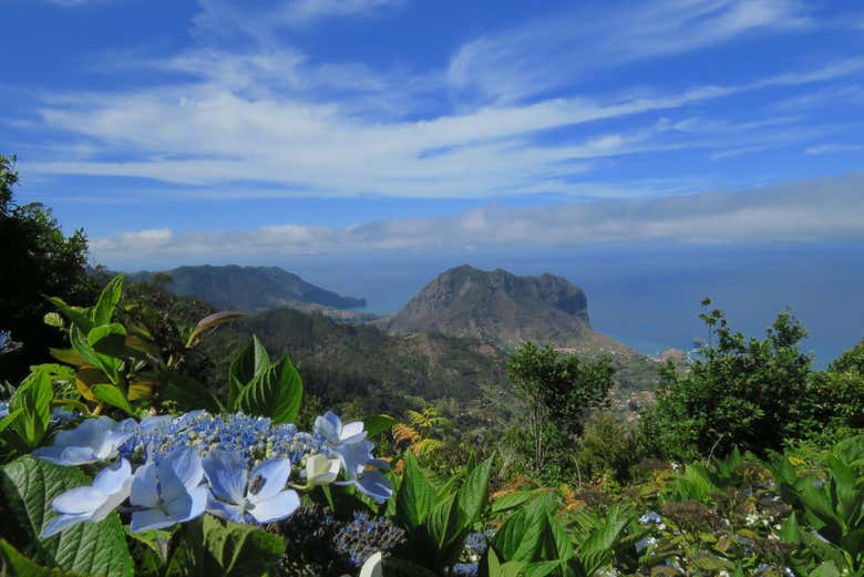 ¿Preparados para explorar el este de Madeira de forma privada?
