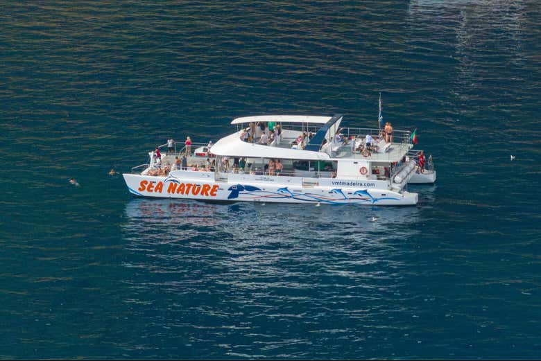 A bordo do catamarã