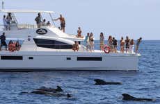 Paseo en barco por Cabo Girão con aperitivo