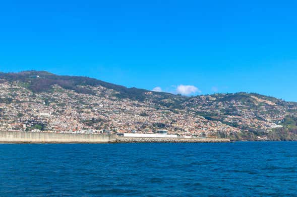 Paseo en goleta por la costa sur de Madeira