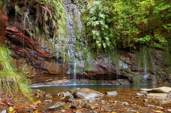 Senderismo por los lagos de Madeira