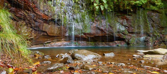 Senderismo por los lagos de Madeira