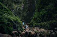 Senderismo por Levada do Caldeirão Verde por libre