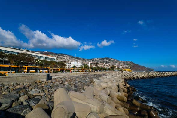 Tour pela Madeira + Museu Cristiano Ronaldo