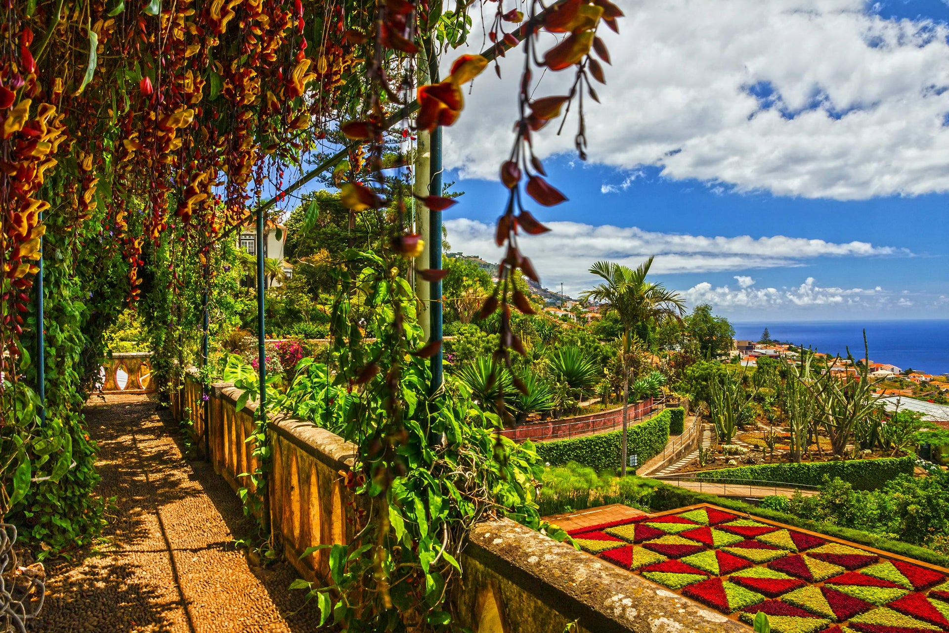Tour por Monte y Jardín Botánico de Madeira