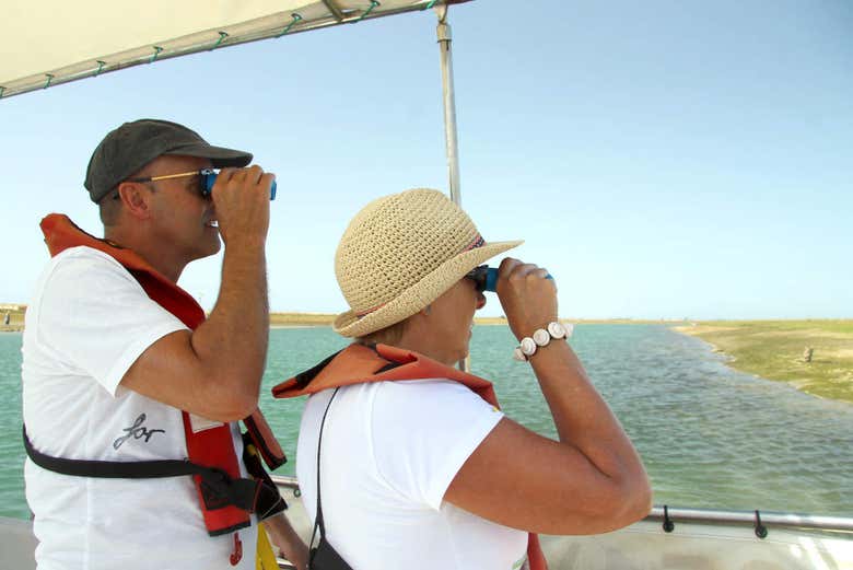 Observation d'oiseau à Ria Formosa
