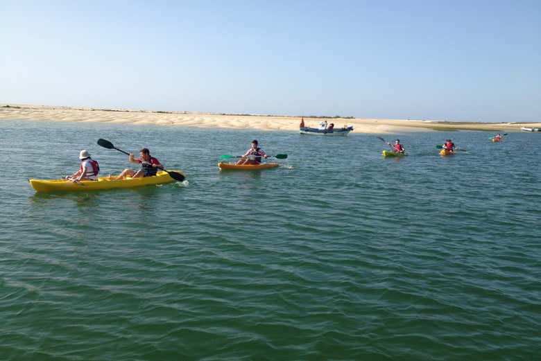 Naviguez au Parc Naturel de la Ria Formosa