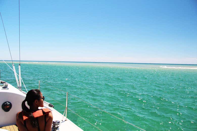 Views from the boat