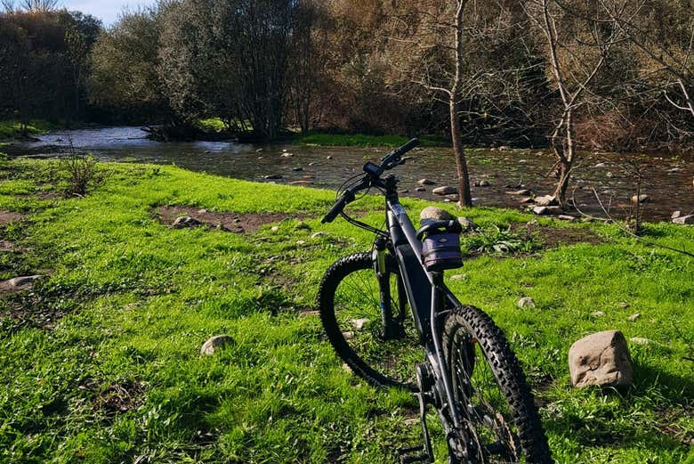 Alla scoperta della natura di Guarda in bicicletta