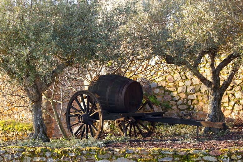 Conoceremos los pueblos histórico de Portugal